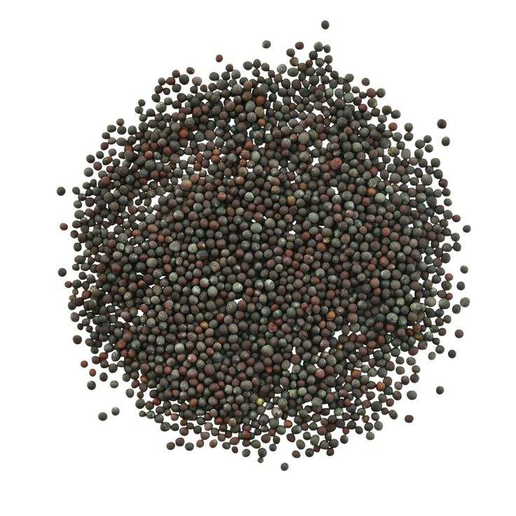 Mustard Seeds